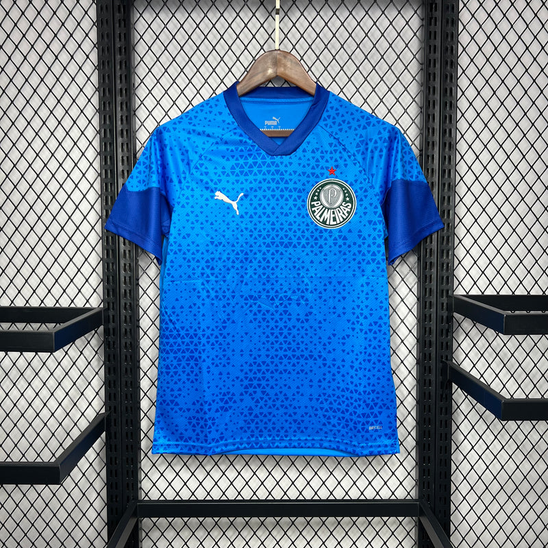 Camisa Palmeiras de Goleiro II 2024 Puma - Azul