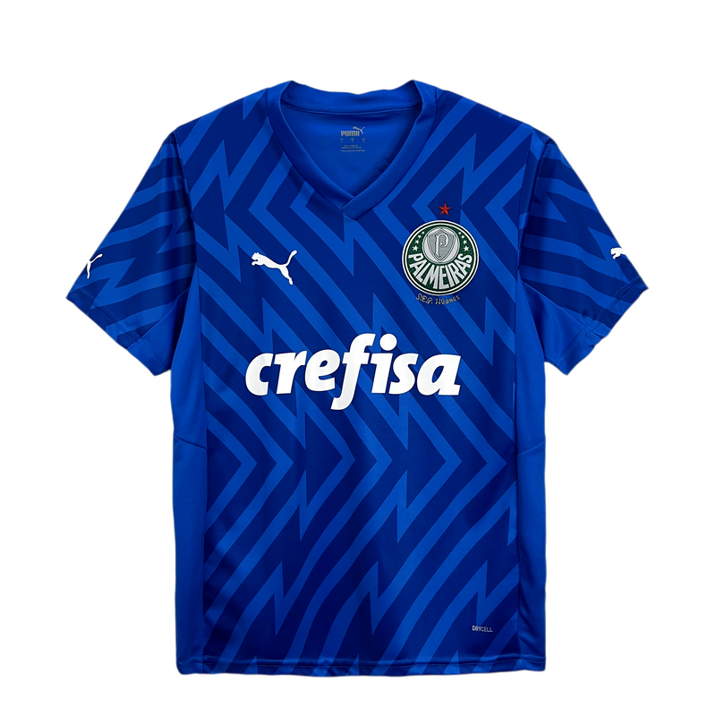 Camisa Palmeiras de Goleiro 2024 Puma - Azul