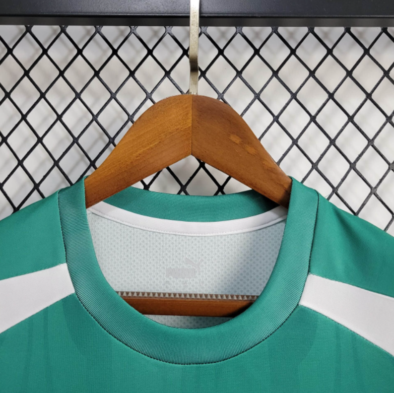 Camisa Palmeiras Treino 2024 Puma - Verde