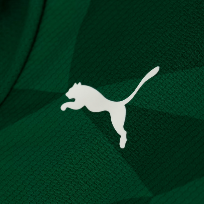 Camisa Palmeiras I 23/24 Puma - Verde